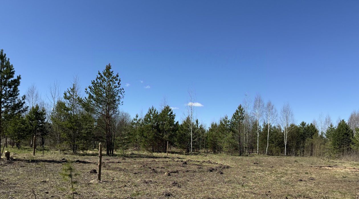 земля г Первоуральск с Слобода пер Луговой фото 3