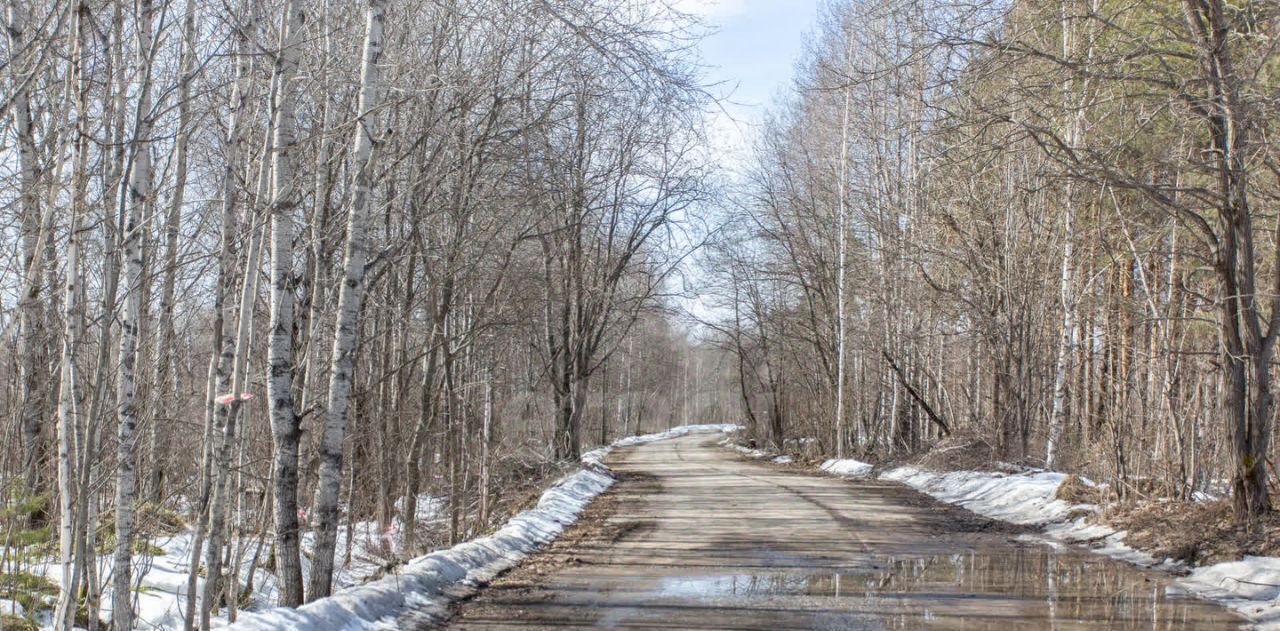 земля г Тобольск р-н мкр Усадьба ул Лесная фото 8