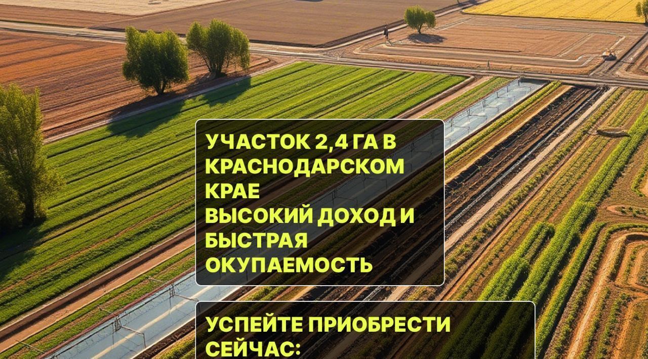 офис р-н Анапский г Анапа ст-ца Благовещенская фото 18