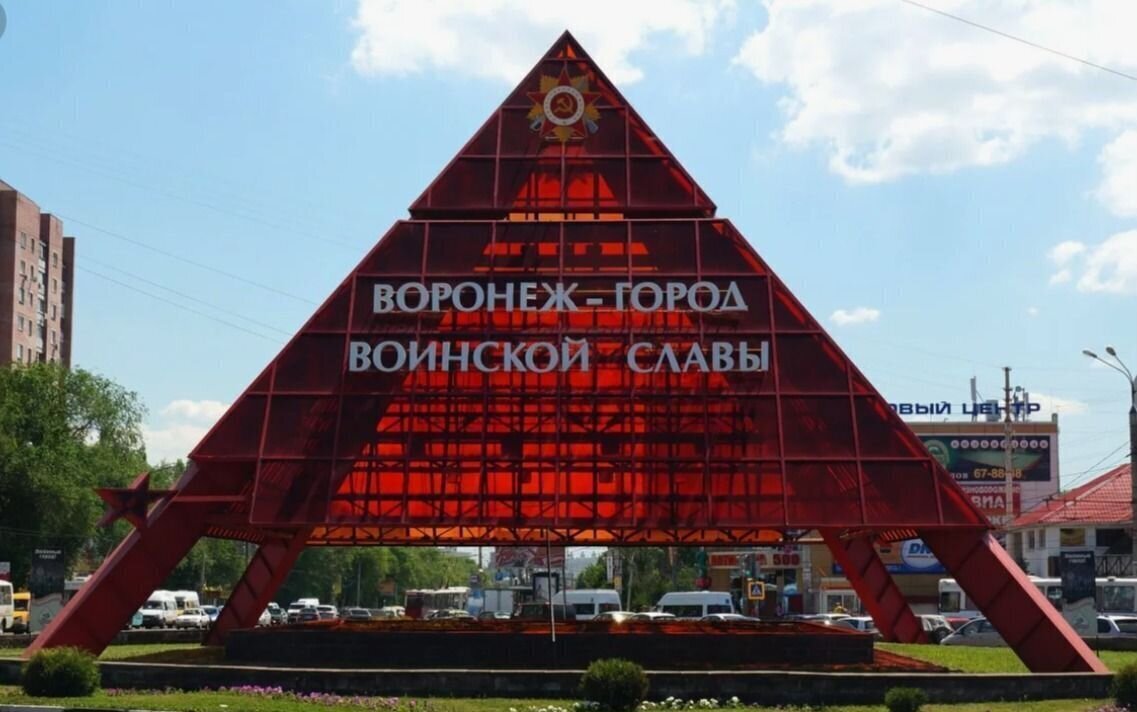 квартира г Воронеж р-н Коминтерновский ул Хользунова 66 фото 13