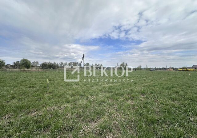 земля Шунгенское сельское поселение, Кострома фото