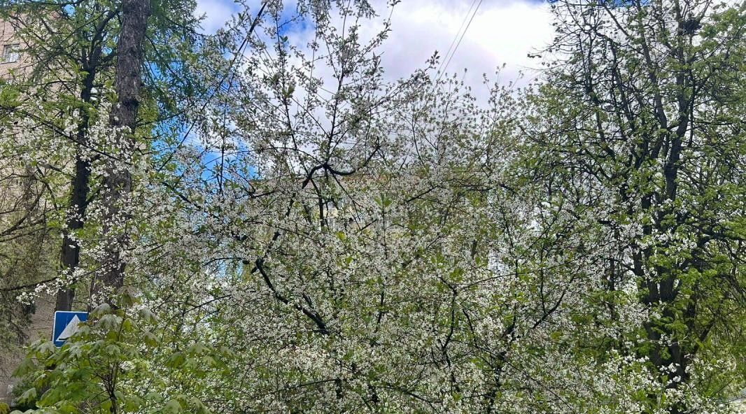 квартира г Солнечногорск пр-кт Сенежский 2 фото 16