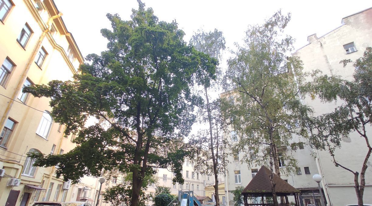 квартира г Санкт-Петербург метро Горьковская пр-кт Каменноостровский 4 округ Кронверкское, Петроградка фото 27