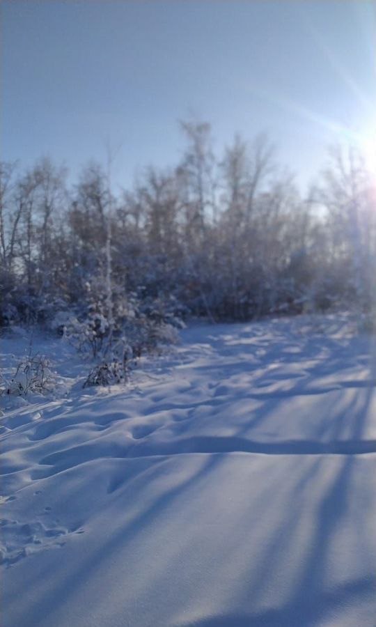 земля г Якутск с Маган фото 2