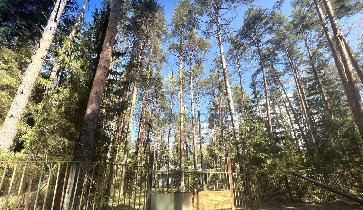 свободного назначения г Бор д. Сверчково, 1 фото 3