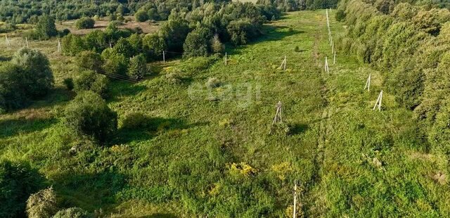 Багратионовский муниципальный округ фото