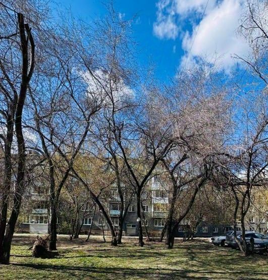квартира г Иркутск р-н Октябрьский ул Трилиссера 59 Октябрьский административный округ фото 14