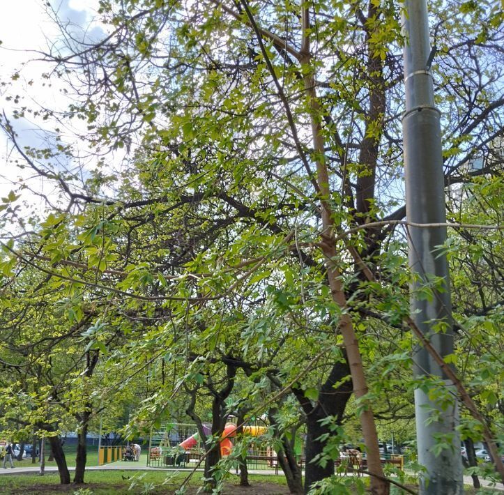 квартира г Москва метро Зябликово ул. Мусы Джалиля, 44/45 фото 15