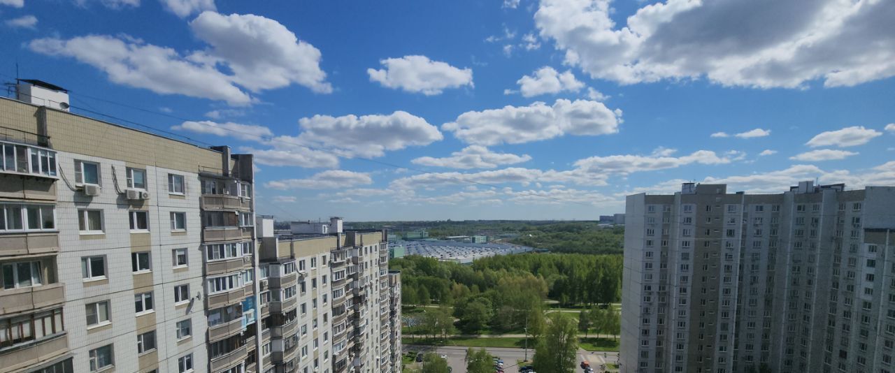 квартира г Москва метро Алма-Атинская ул Братеевская 10к/3 муниципальный округ Братеево фото 10