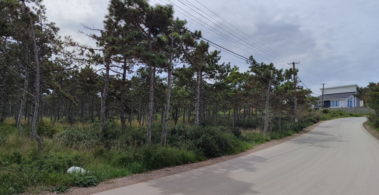дом г Севастополь садоводческое товарищество Атлантика-3, Крым фото 10