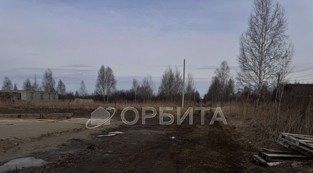 земля г Тюмень р-н Центральный ул Сиреневая нка садовое товарищество фото 3
