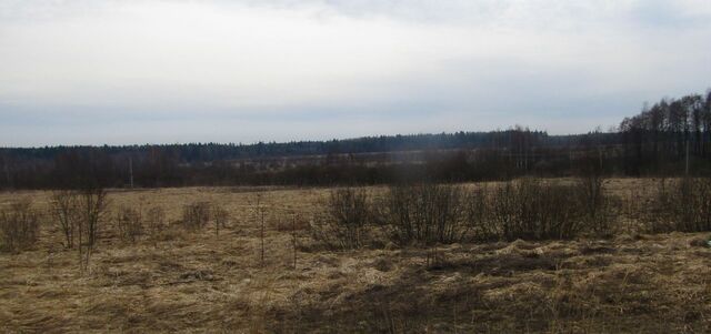 Мещовск городское поселение фото