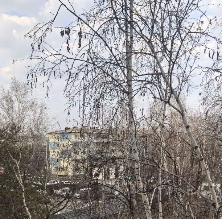 квартира г Благовещенск ул Василенко 7 фото 7