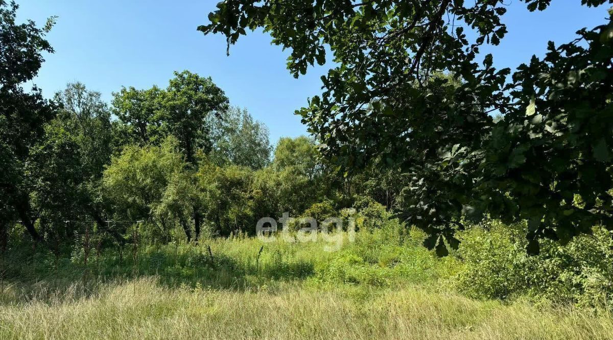 земля г Благовещенск фото 4