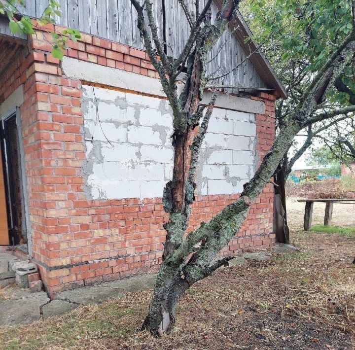 дом р-н Ейский г Ейск п Широчанка снт Дружба фото 7
