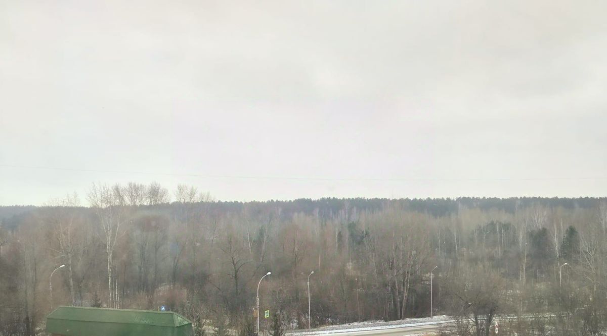 квартира г Новосибирск р-н Советский Нижняя Ельцовка Октябрьская ул Лесосечная 16 фото 30