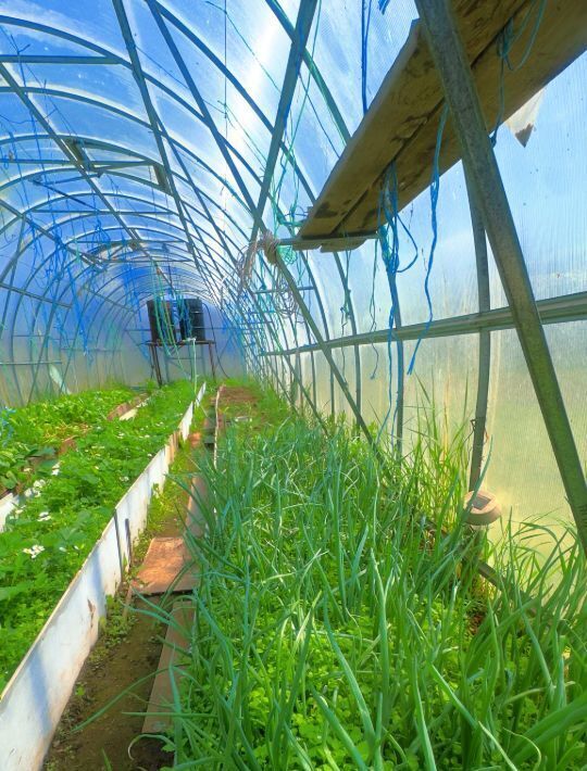 дом г Фокино п Домашлино ЗАТО Фокино городской округ фото 10