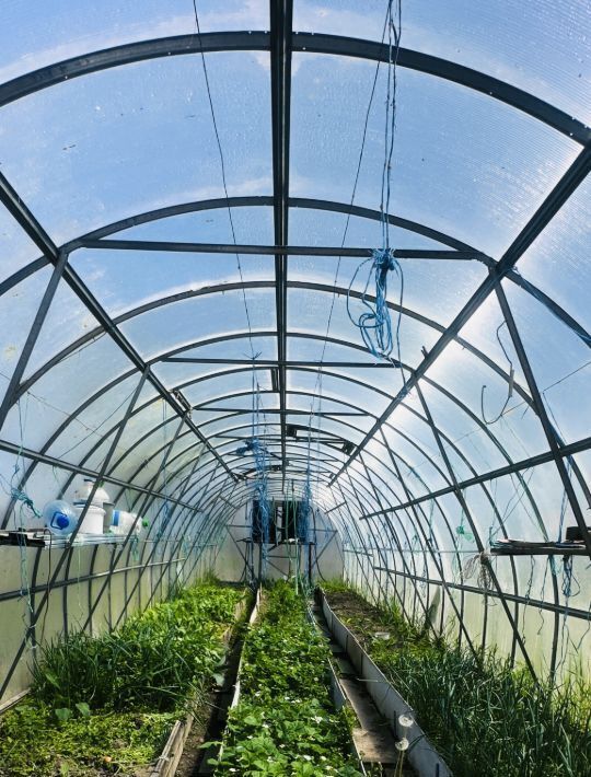 дом г Фокино п Домашлино ЗАТО Фокино городской округ фото 11