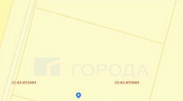земля г Барнаул снт Калинка ул. Двадцатая фото 2