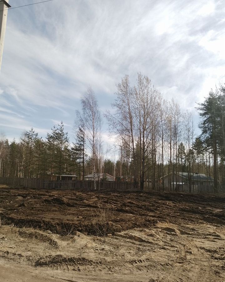 земля р-н Всеволожский г Всеволожск Дорога жизни, 12 км, Всеволожское городское поселение, территория СОСН Бирюлинская фото 4