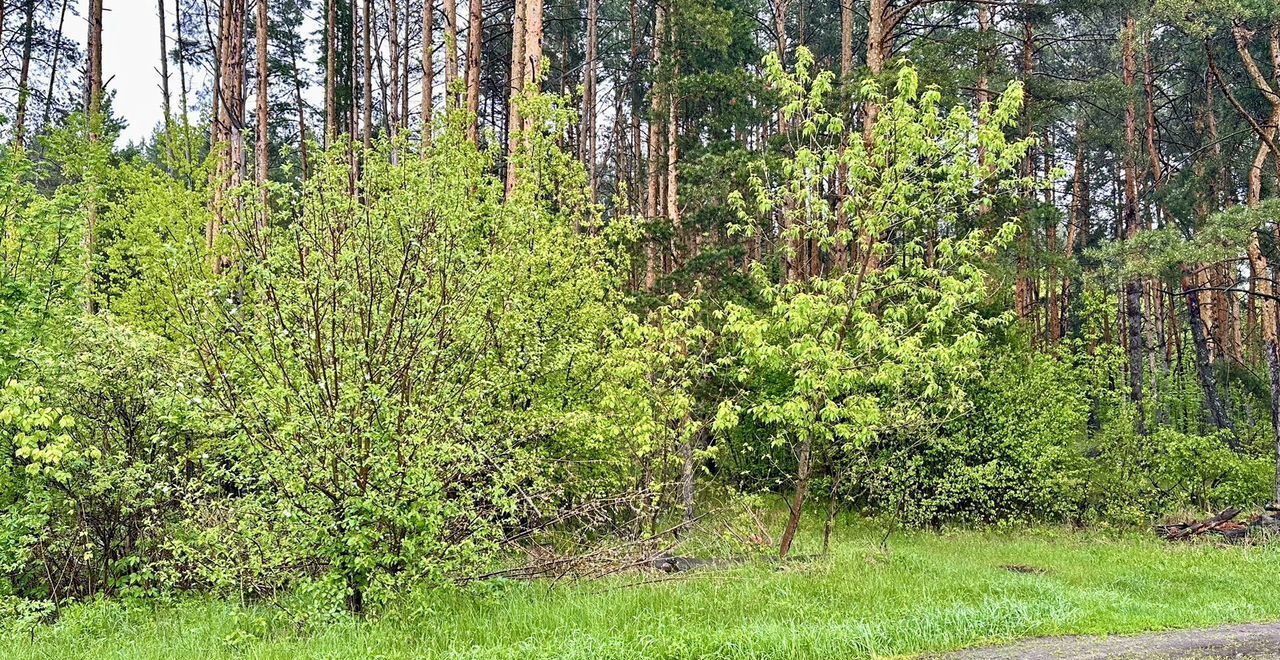 земля г Пенза р-н Железнодорожный дачное товарищество Озёрное, 68, садовое фото 6