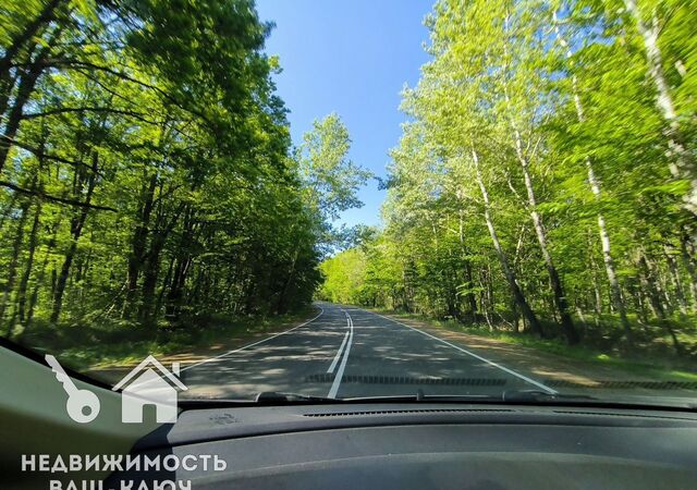 снт Дружба фото