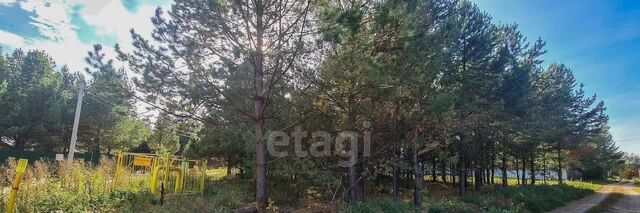 ул Луговая фото