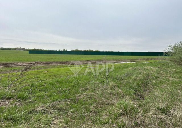 Мамадышский тракт, Республика Татарстан Татарстан, Вознесенский тракт фото