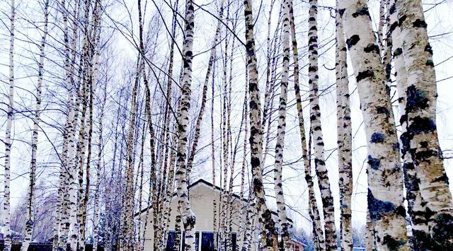 с пос, ул. Лазурная, 5, Глебовское, Коприно кп фото