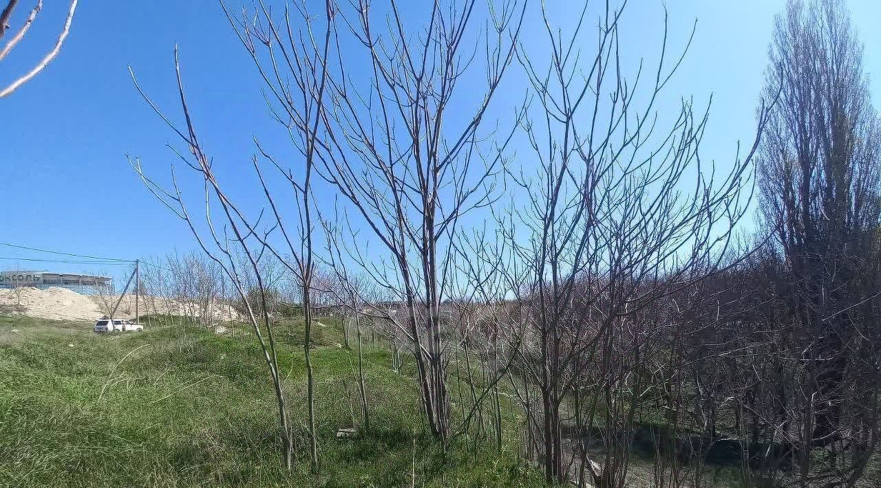 земля г Симферополь р-н Киевский ул Бородина фото 4