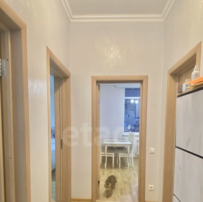 квартира г Геленджик ул Курортная 14а Центр фото 15