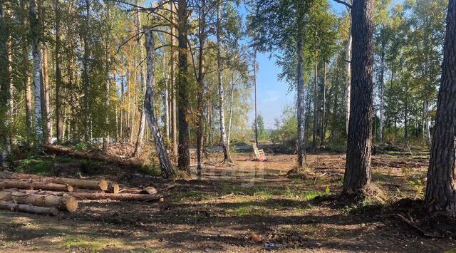 р-н Чкаловский ИЖС Парк Тихое место кп фото