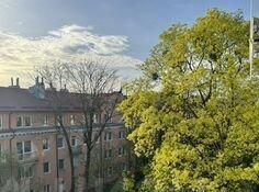квартира г Калининград р-н Центральный пр-кт Мира 122 фото 17