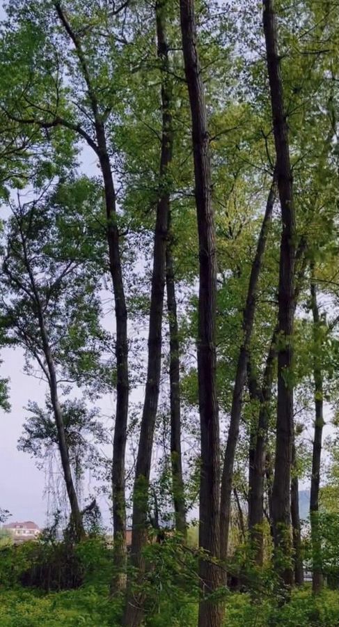 квартира г Махачкала р-н Кировский Благородная ул., 13 фото 15