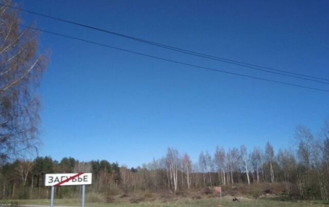 ул Новостроек Турбинное сельское поселение, Окуловка фото