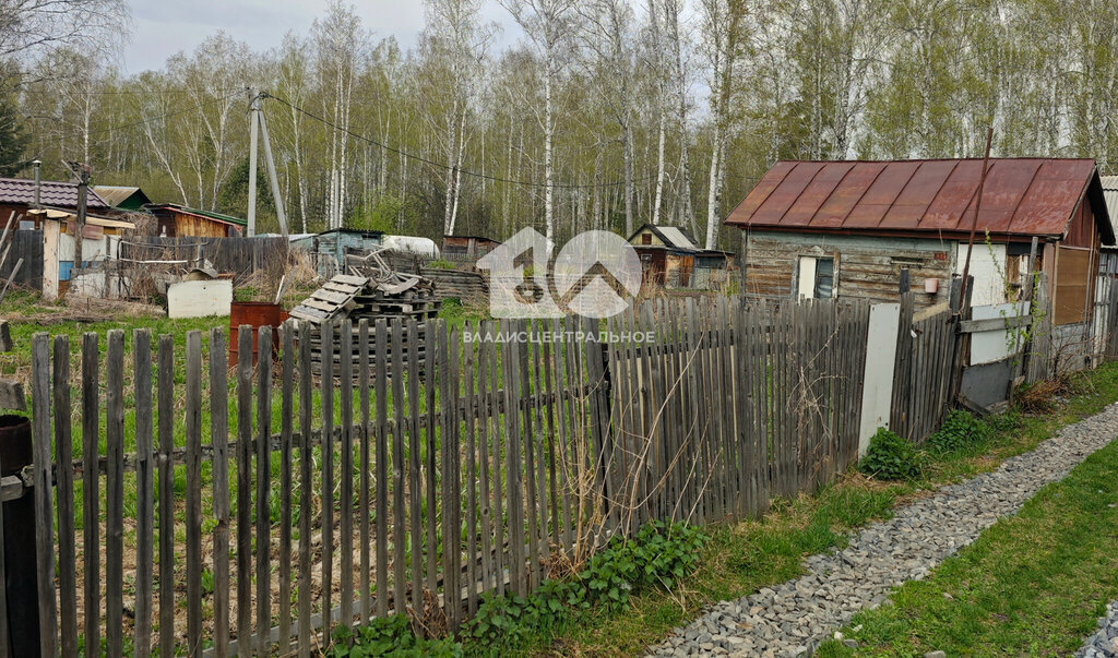 земля г Новосибирск р-н Калининский Заельцовская снт Любитель 2-й проезд фото 9