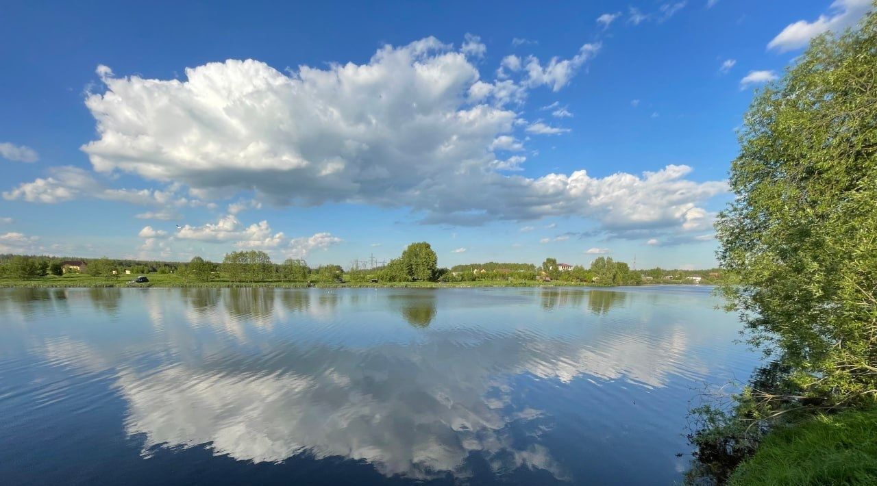 земля г Балашиха д Русавкино-Поповщино Железнодорожная, 133 фото 7