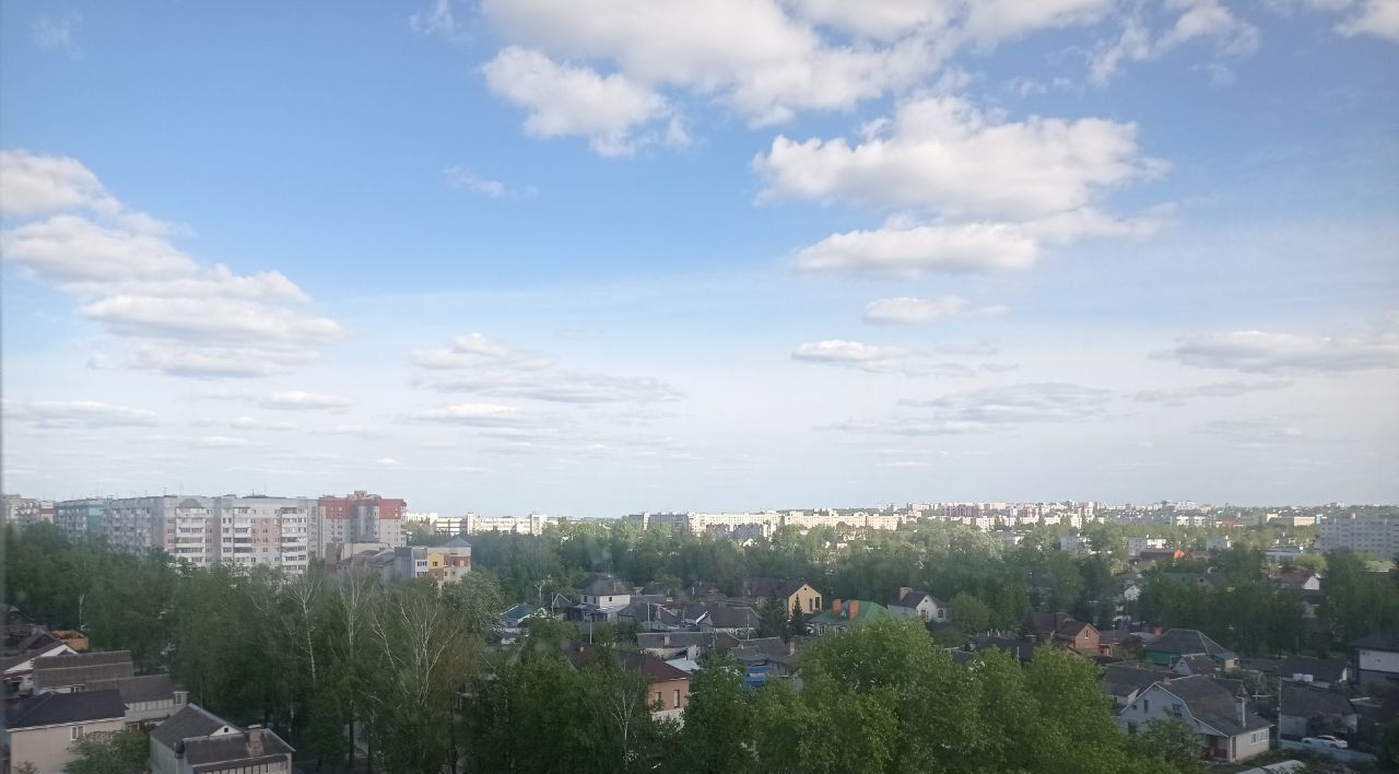 квартира г Брянск рп Радица-Крыловка Бежицкий район р-н Бежицкий ул Медведева 56 фото 35