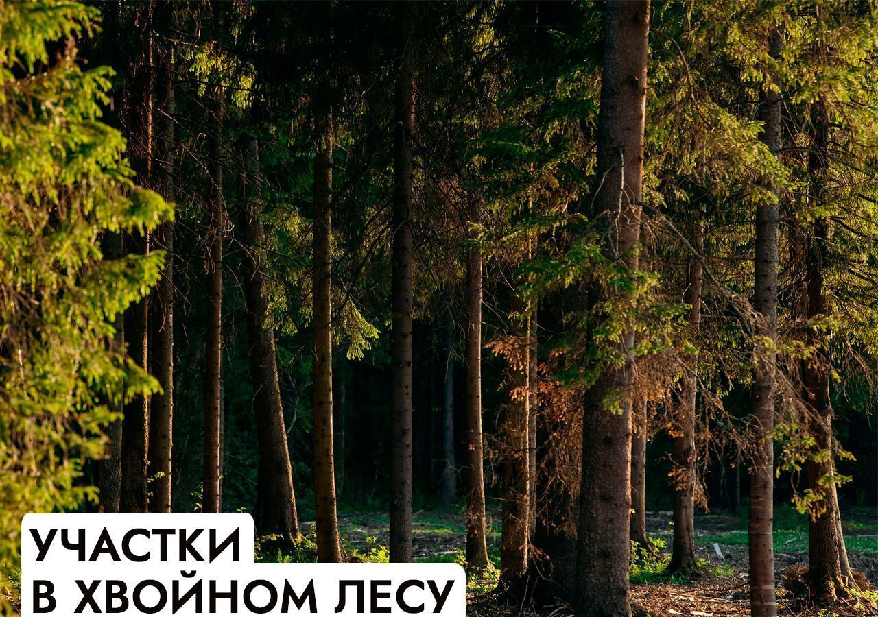 земля г Истра Павловская Слобода, 25 км, коттеджный пос. Гринфилд, Минское шоссе фото 15