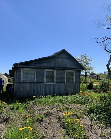 р-н Новгородский снт Энергия Панковское городское поселение, садоводческий массив № 1, садоводческое товарищество, Панковка фото