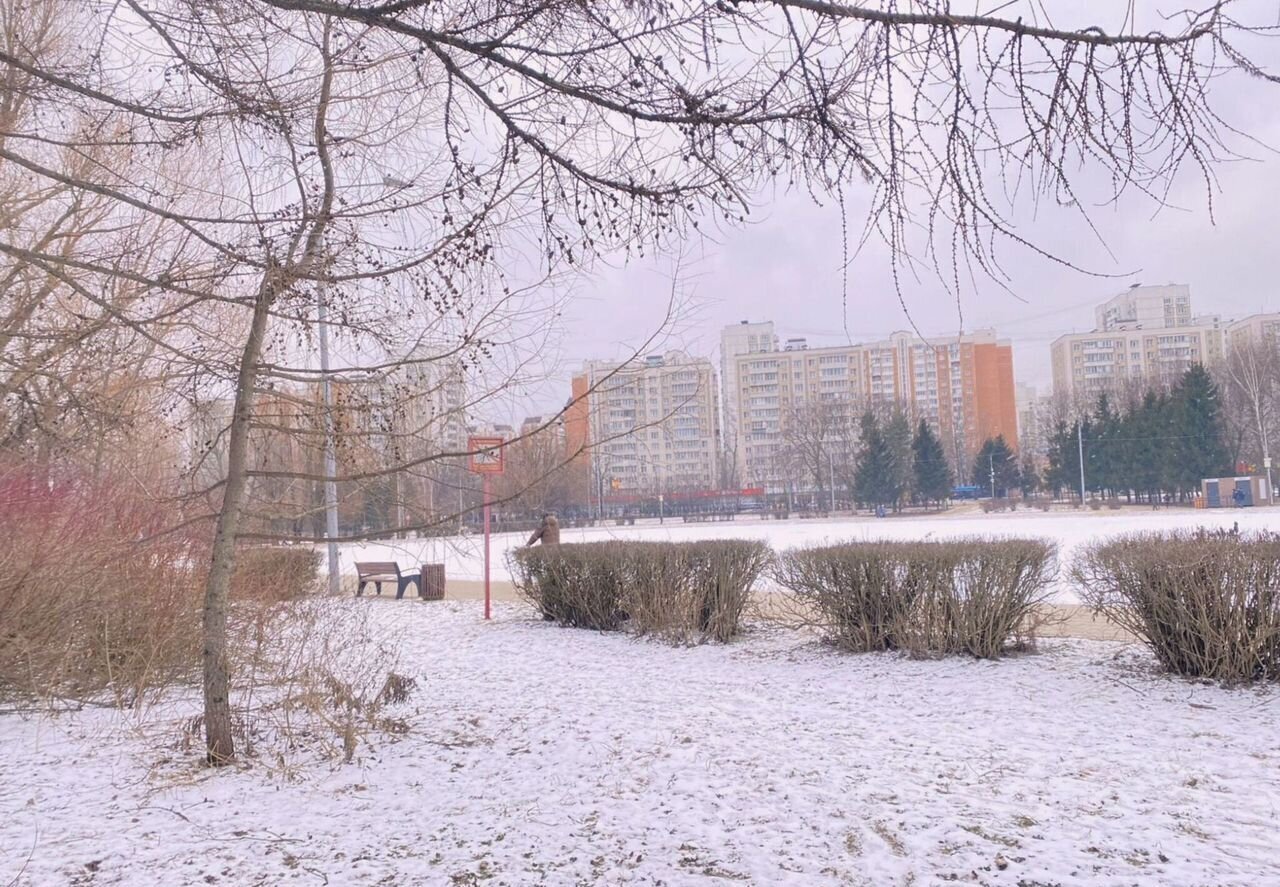квартира г Москва метро Лианозово ш Дмитровское 157с/8 муниципальный округ Дмитровский фото 29