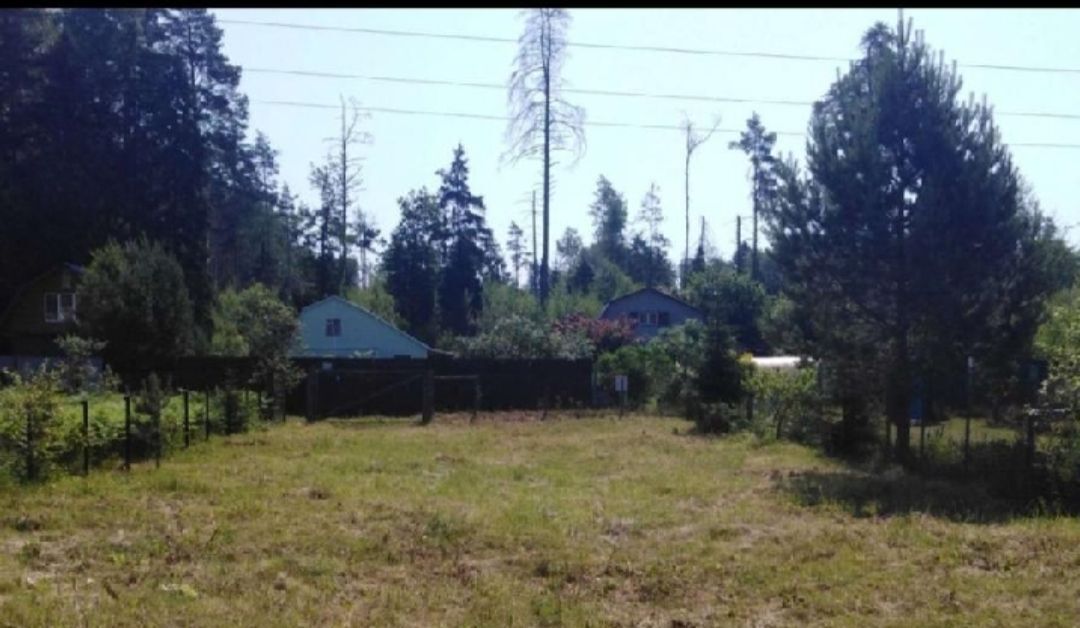 земля городской округ Богородский г Ногинск снт Елочка 25 фото 4