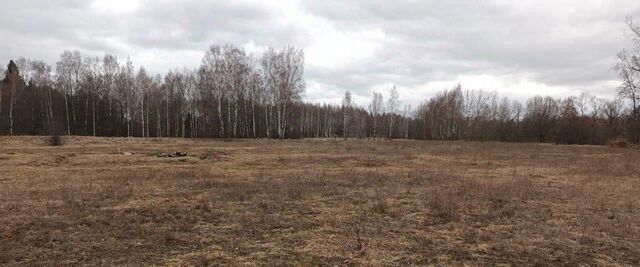 д Савинки фото