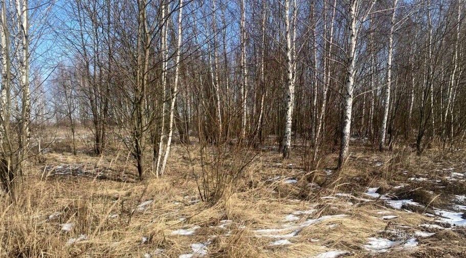 земля г Зарайск ул Малая фото 1