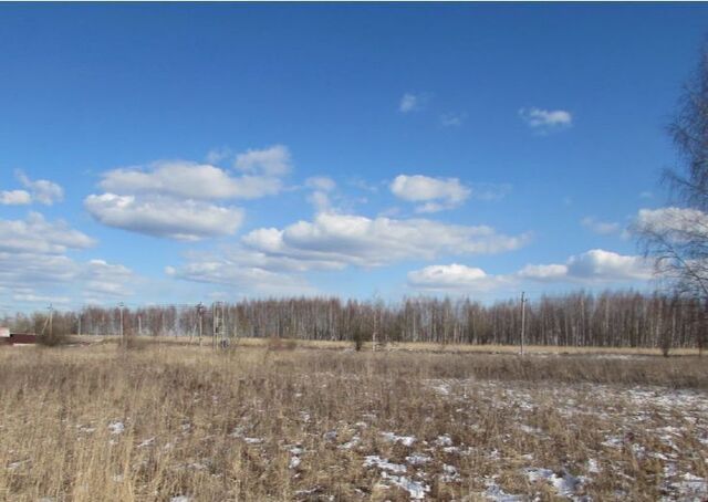 Коломна городской округ, с. Никульское фото
