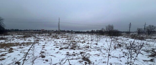 Истра муниципальный округ, д. Рубцово фото