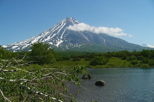 земля пр-кт Рыбаков фото