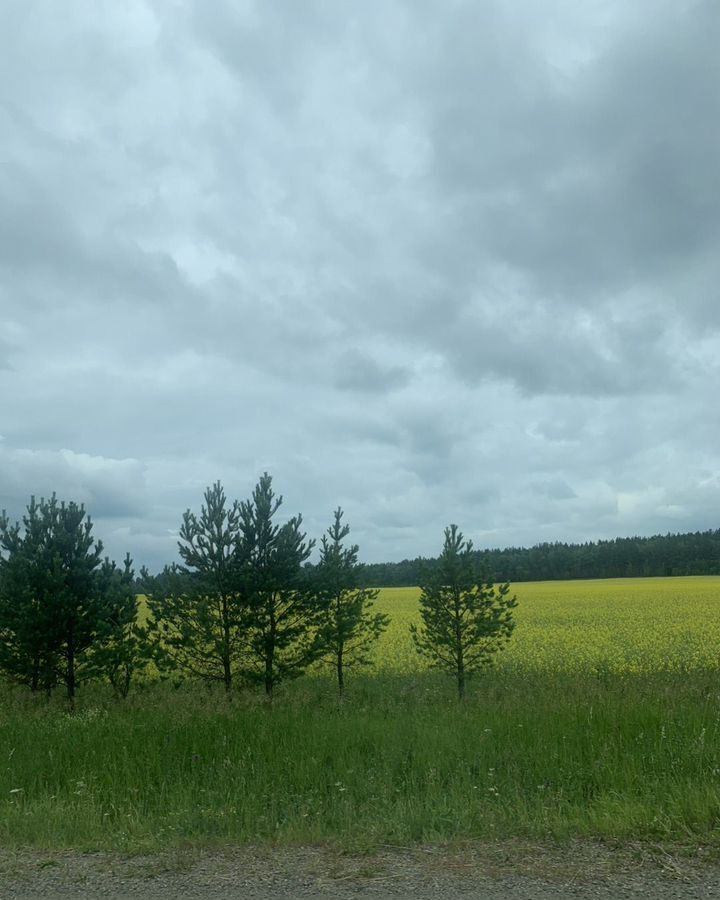 дом г Лесосибирск снт Строитель Ромашковая ул фото 1