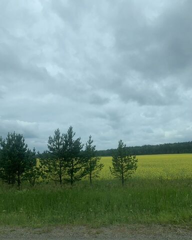 снт Строитель Ромашковая ул фото