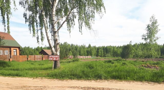 д. Ватома фото